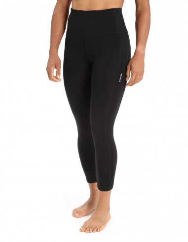 Icebreaker Leggings Mérinos Fastray Taille Haute - Femme Comparez plus de prix