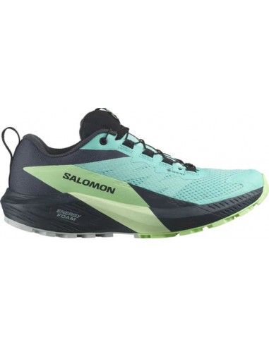 Salomon Chaussures De Course en Sentier  Sense Ride 5 Gore-Tex - Femme est présent 