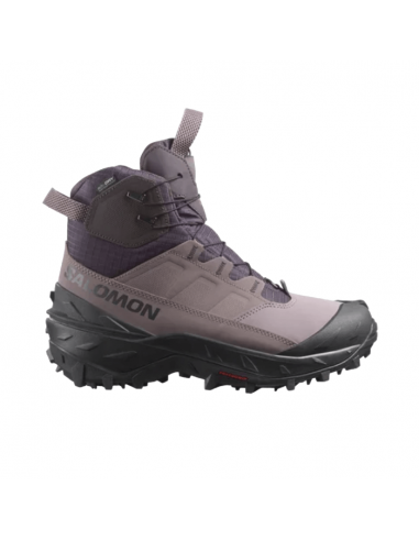 Salomon Bottes De Randonnée Crosstrak Powder Imperméable - Femme de la marque