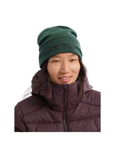 Arc'teryx Tuque Word Toque - Unisexe en ligne